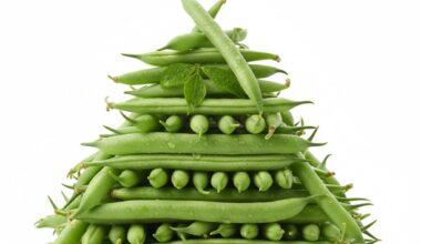 فاصوليا خضراء بلدي (نص كيلو)